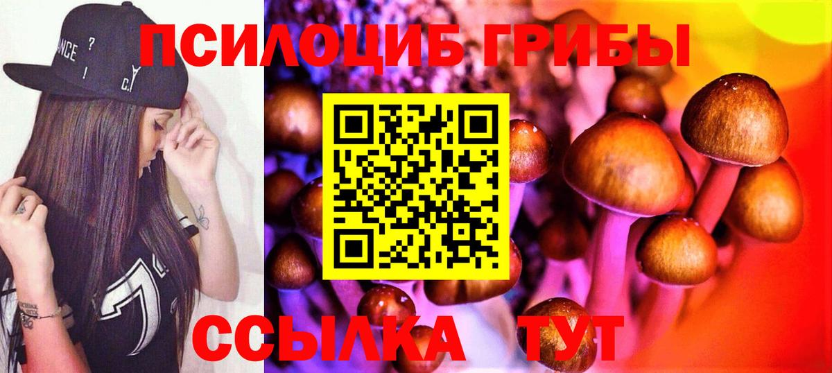 Галлюциногенные грибы Cubensis Великий Устюг